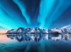 BOS-shutterstock_1309006642_web